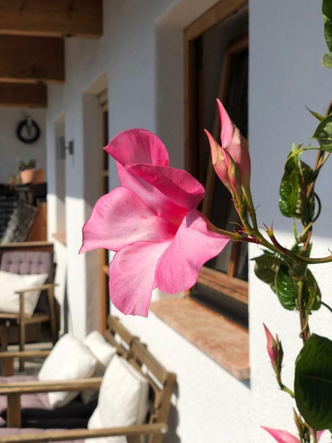 Alpbach 646 Leilighet Eksteriør bilde